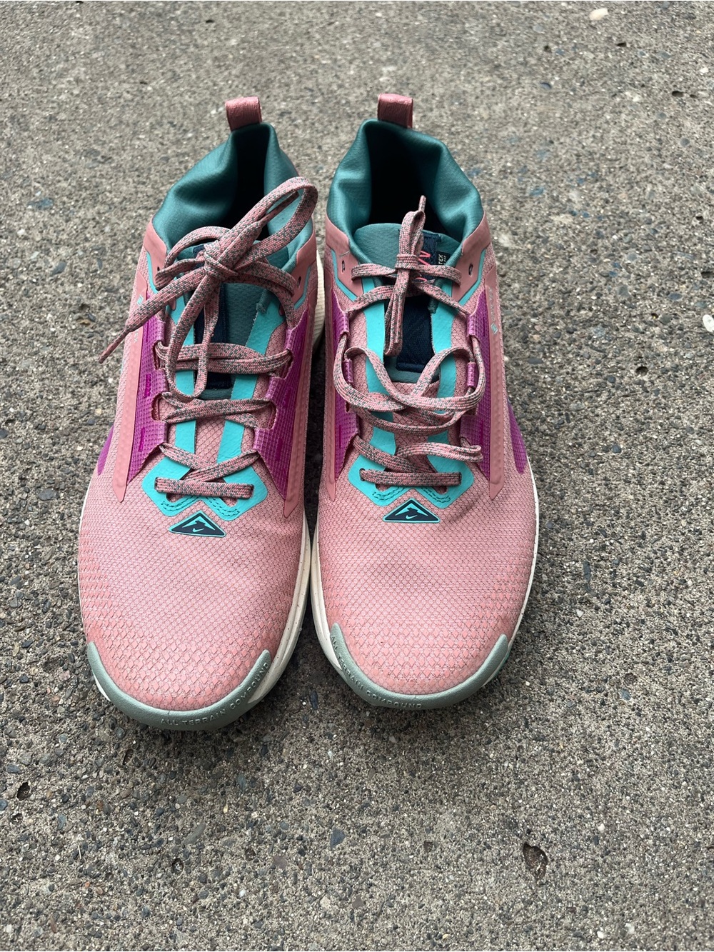 Nike Pegasus Gortex  women Sneakers 10.5